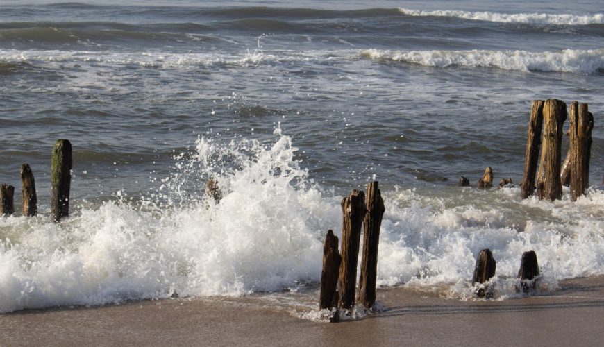 Hölzerne Zeitzeugen