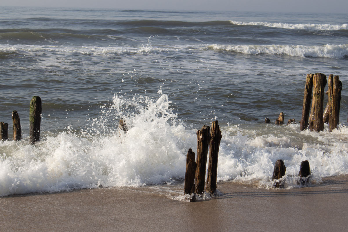 Hölzerne Zeitzeugen