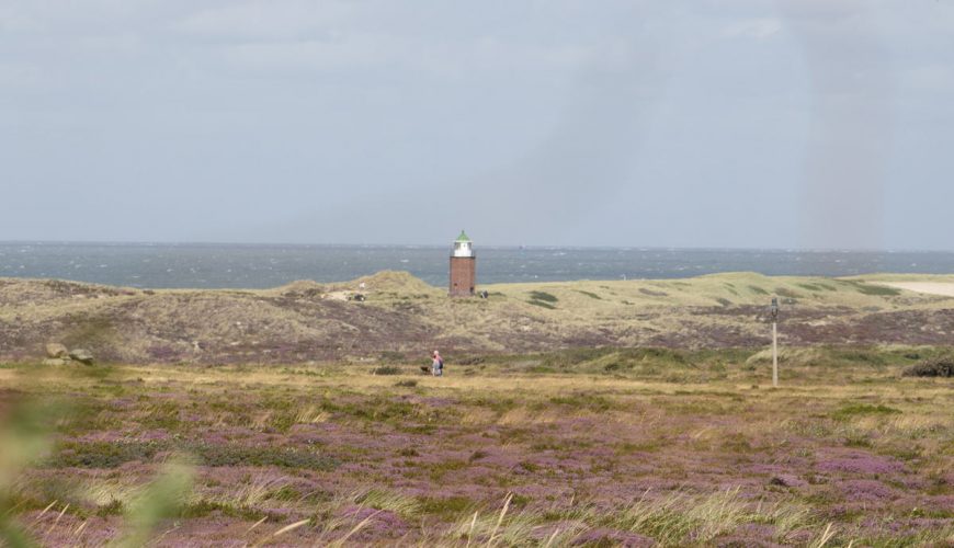 Ein Licht in dunkler Nacht