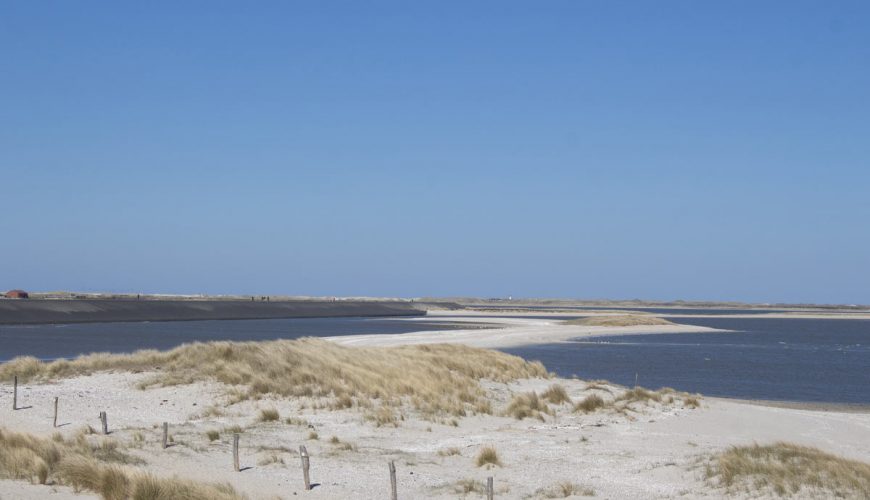 Die Seele baumeln lassen