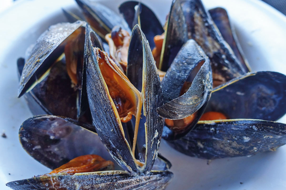 Nordische Köstlichkeit mit harter Schale