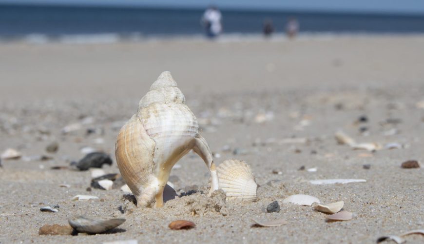 Fleißige Schwerarbeiter