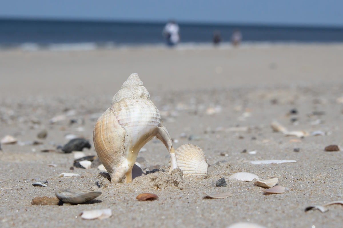 Fleißige Schwerarbeiter