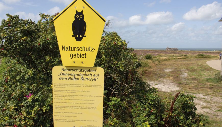 Lebendige Vielfalt am Watt