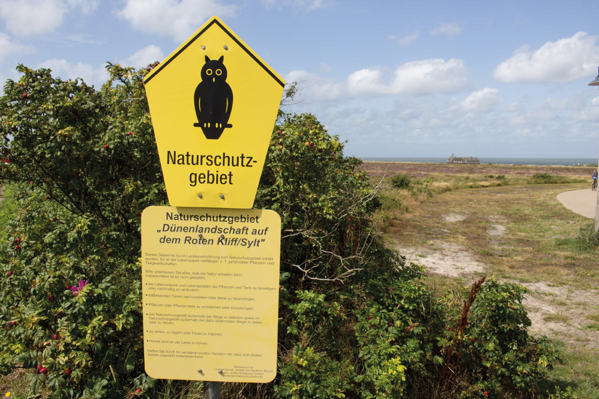 Lebendige Vielfalt am Watt