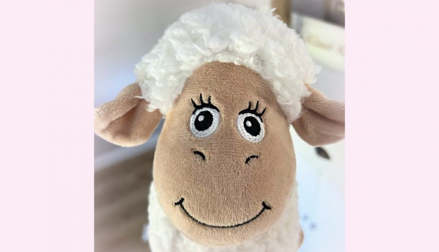 Ein schlaues Sylter Schaf …