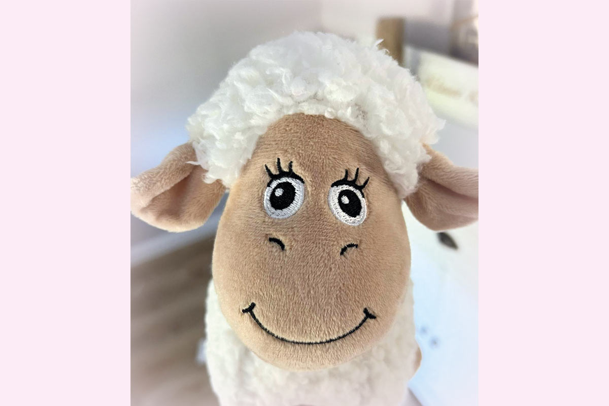 Ein schlaues Sylter Schaf …